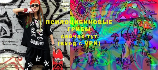 круглые Абаза
