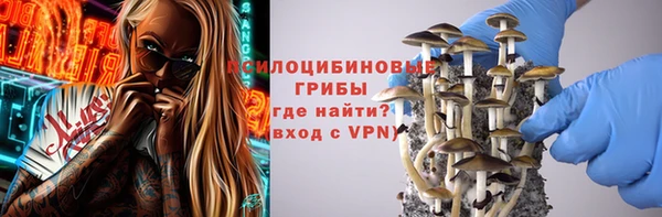 круглые Абаза
